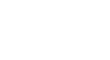 Logo Overlay